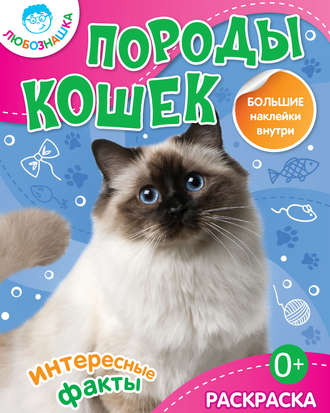 . Породы кошек. Интересные факты