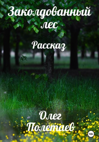 . Заколдованный лес