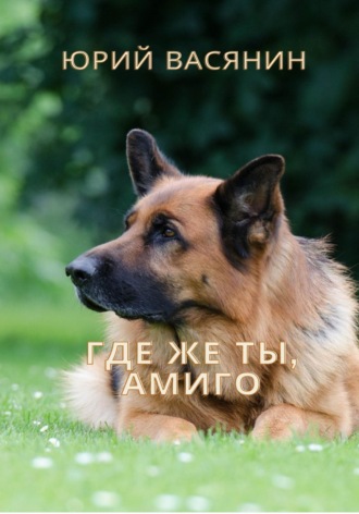 . Где же ты, Амиго