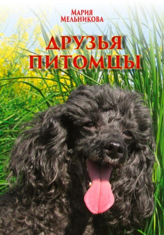 . Друзья-питомцы