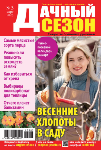 . Дачный сезон №03/2023