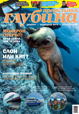 . Предельная Глубина №1/2023