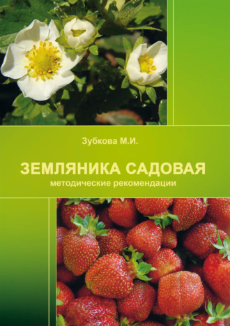 М. И. Зубкова. Земляника садовая (методические рекомендации)
