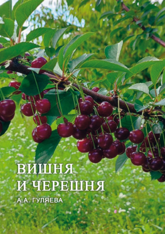А. А. Гуляева. Вишня и черешня