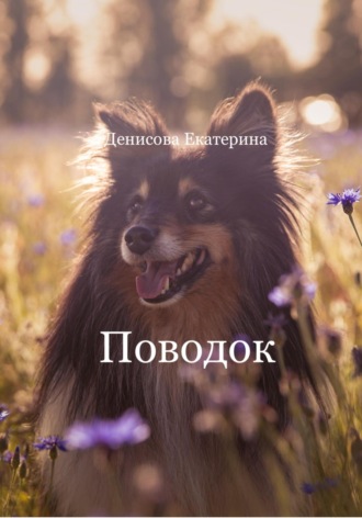 . Поводок