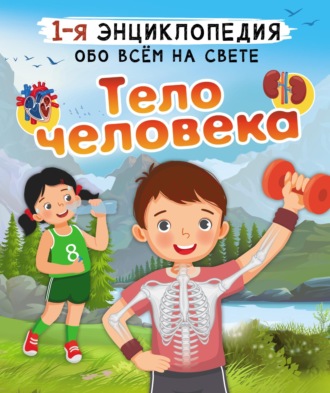 . Тело человека