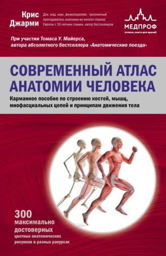 С. В. Котова. Современный атлас анатомии человека. Карманное пособие по строению костей, мышц, миофасциальных цепей и принципам движения тела