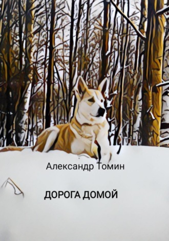 Александр Томин. Дорога домой