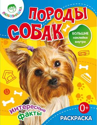 . Породы собак. Интересные факты