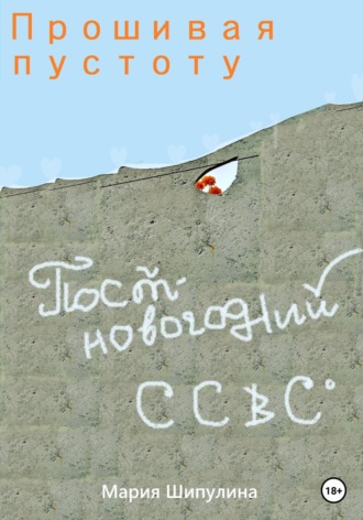 . Прошивая пустоту. Постновогодний ССВС