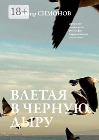 . Влетая в Черную дыру. Серия книг поэтической философии миропонимания новой эпохи