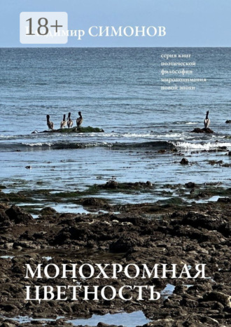Владимир Симонов. Монохромная цветность. Серия книг поэтической философии миропонимания новой эпохи