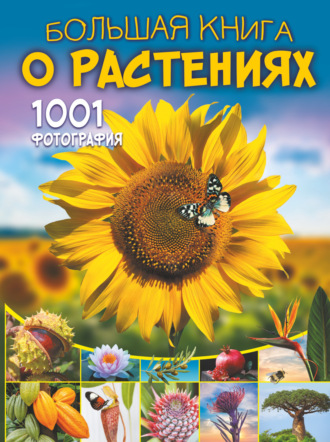 . Большая книга о растениях. 1001 фотография