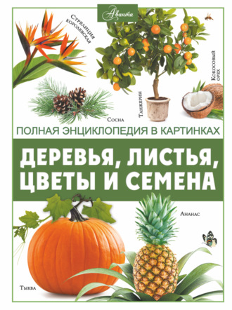 . Деревья, листья, цветы и семена