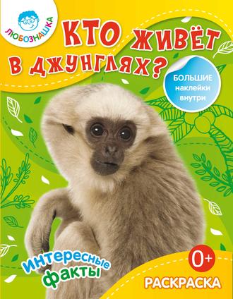 . Кто живёт в джунглях? Интересные факты
