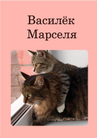 Жанна Кольцова. Василёк Марселя