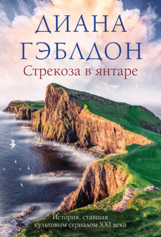 . Стрекоза в янтаре