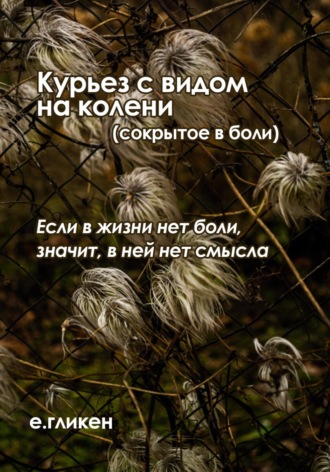 Екатерина Константиновна Гликен. Курьез с видом на колени (сокрытое в боли)