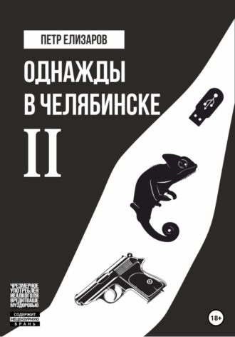 Петр Анатольевич Елизаров. Однажды в Челябинске. Книга вторая