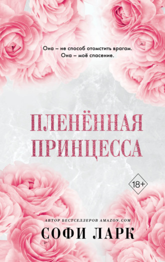 . Пленённая принцесса