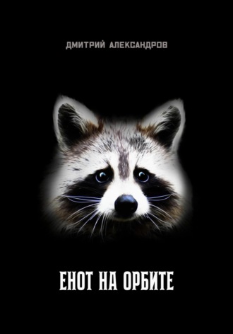 . Енот на орбите