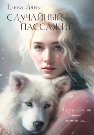 . Случайный пассажир
