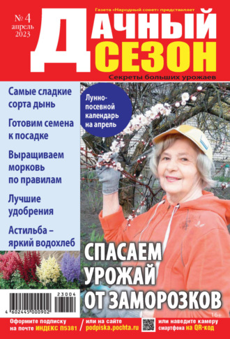 . Дачный сезон №04/2023