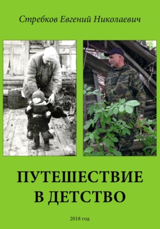 Евгений Николаевич Стребков. Путешествие в детство