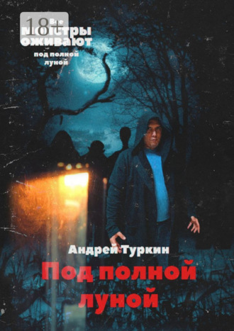 Андрей Юрьевич Туркин. Под полной луной
