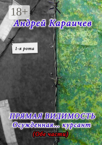 . Прямая видимость. Осужденная… курсант