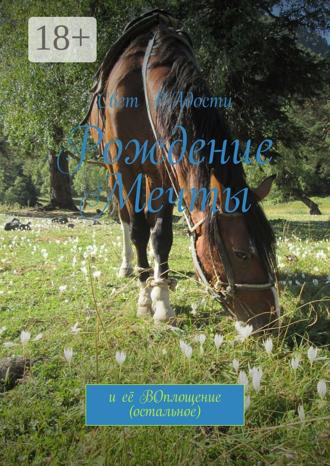 . Рождение мечты. И её воплощение (остальное)