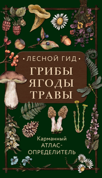 . Лесной гид: грибы, ягоды, травы. Карманный атлас-определитель