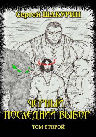 Сергей Витальевич Шакурин. Черный. Последний выбор. Том второй
