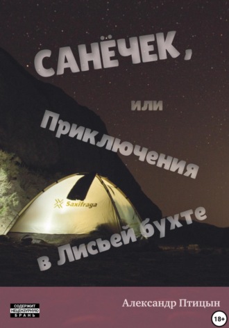 Александр Лебедев. Санёчек, или Приключения в Лисьей бухте