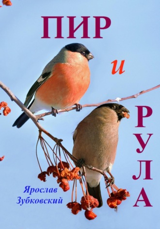 Ярослав Николаевич Зубковский. Пир и Рула