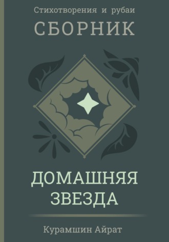 Айрат Ренатович Курамшин. Домашняя звезда