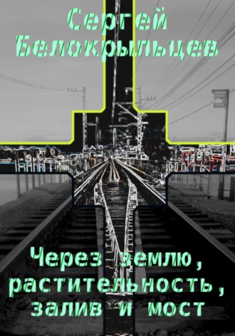 Сергей Валерьевич Белокрыльцев. Через землю, растительность, залив и мост