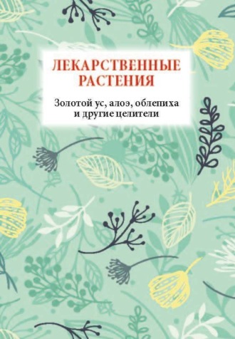 . Лекарственные растения. Золотой ус, алоэ, облепиха и другие целители