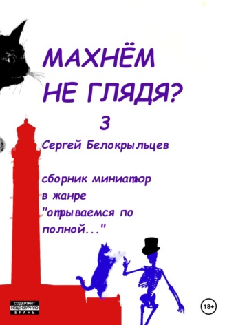 Сергей Валерьевич Белокрыльцев. Махнём не глядя? – 3