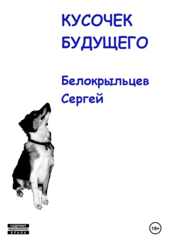 Сергей Валерьевич Белокрыльцев. Кусочек будущего