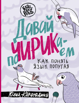 . Давай поЧИРИКаем. Как понять язык попугая
