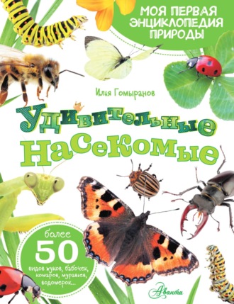 . Удивительные насекомые