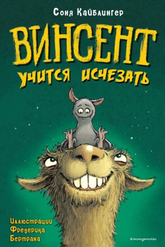 Соня Кайблингер. Винсент учится исчезать. Выпуск 2