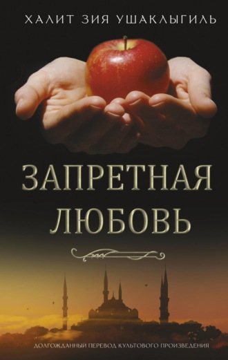 . Запретная любовь