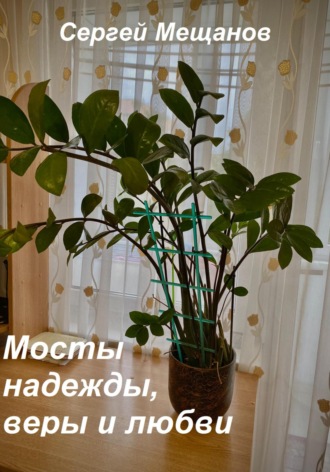 Сергей Алексеевич Мещанов. Мосты надежды, веры и любви