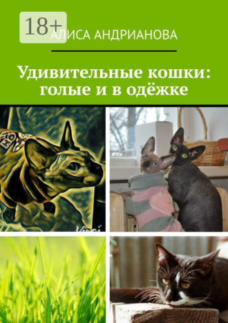 Алиса Андрианова. Удивительные кошки: голые и в одёжке. Сказка для взрослых детей