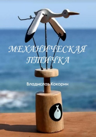 Владислав Кокорин. Механическая птичка