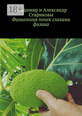 Александр Владимирович Стариков. Физиология почек глазами физика