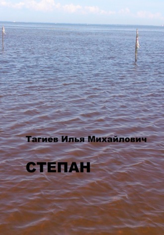 Илья Михайлович Тагиев. Степан