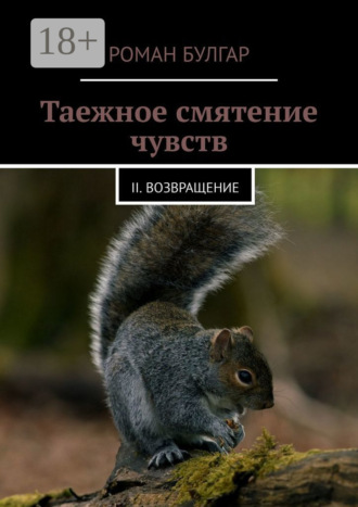 Роман Булгар. Таежное смятение чувств. II. Возвращение